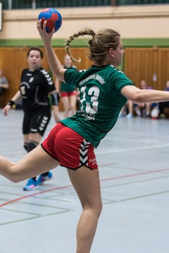 Bild 245 - Damen HSG Kremperheide/M�nsterdorf - Suchsdorfer SV : Ergebnis: 39:22